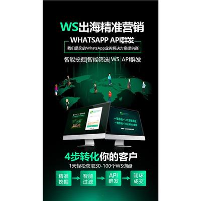 跨境新引擎 “萬(wàn)單哥”獨(dú)立站引流新模式與浙江軟件開(kāi)發(fā)的力量